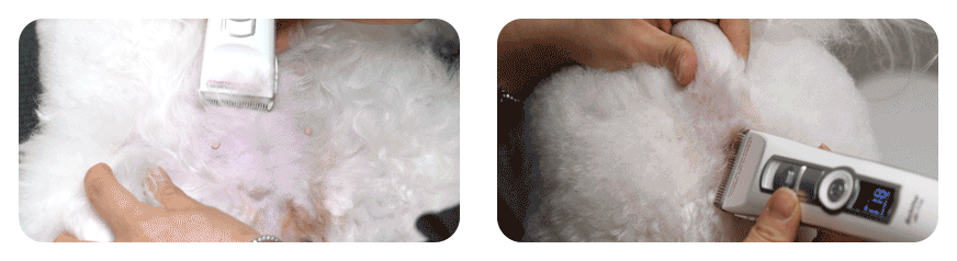 1746378765_MU4BxorQ_34d6dbe8bf792eb1f1293c14ef6e848511b52f18.gif